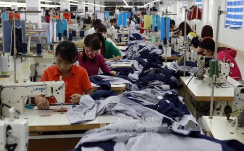 Tận dụng thời kỳ cơ cấu dân số vàng: Vận hội lớn cho đất nước 